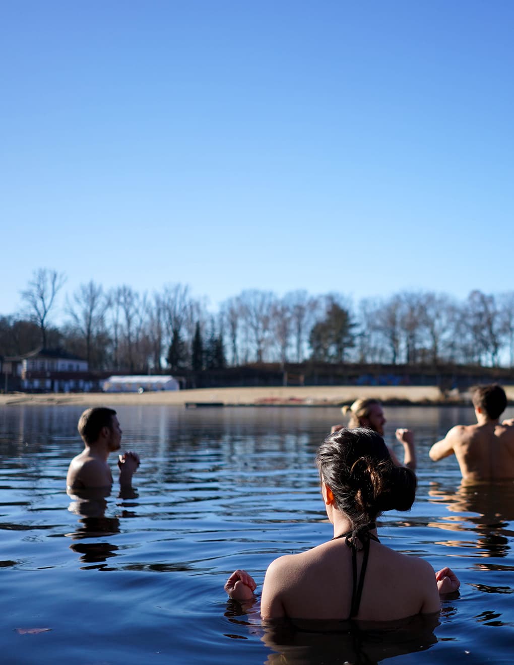 Ice Dippers in Weißensee