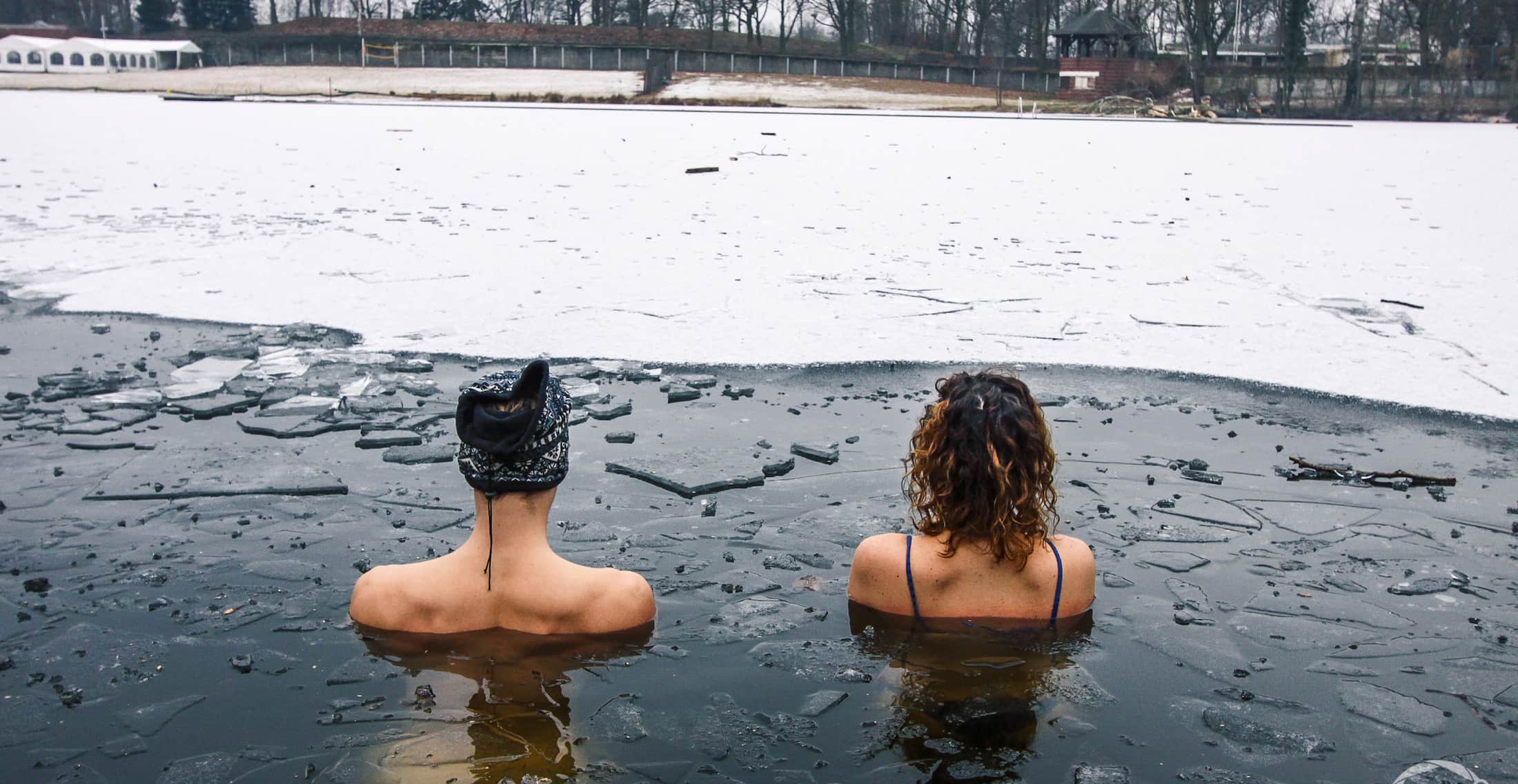 Two ice dippers in Plötzensee